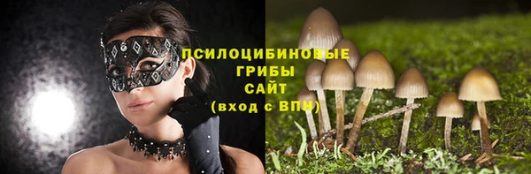 mdpv Каменногорск