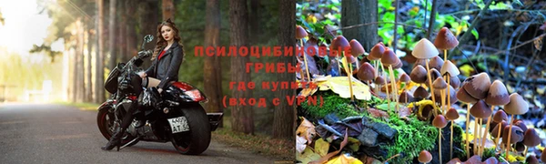 mdpv Аркадак