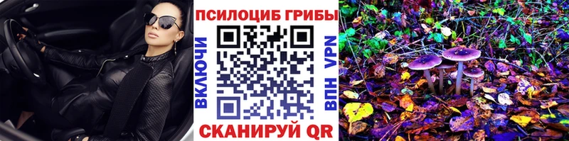 darknet наркотические препараты  Осташков  Псилоцибиновые грибы ЛСД 